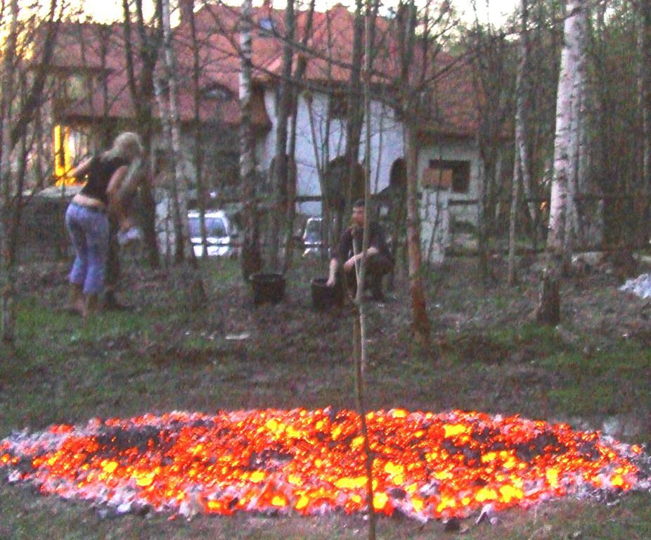 Osrodek Kwaskowa Villa Kazimierz Dolny Dış mekan fotoğraf