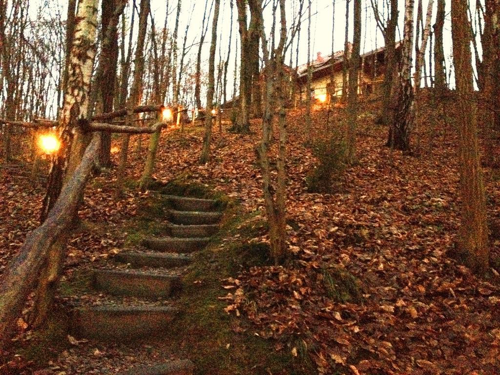 Osrodek Kwaskowa Villa Kazimierz Dolny Dış mekan fotoğraf