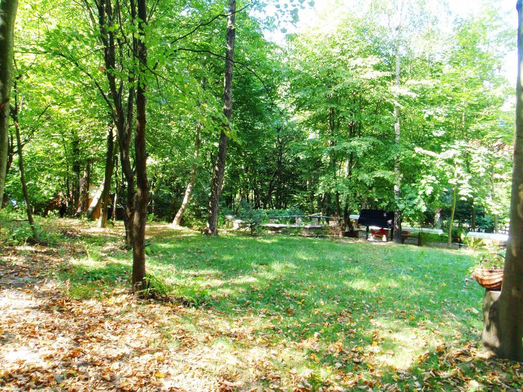 Osrodek Kwaskowa Villa Kazimierz Dolny Dış mekan fotoğraf