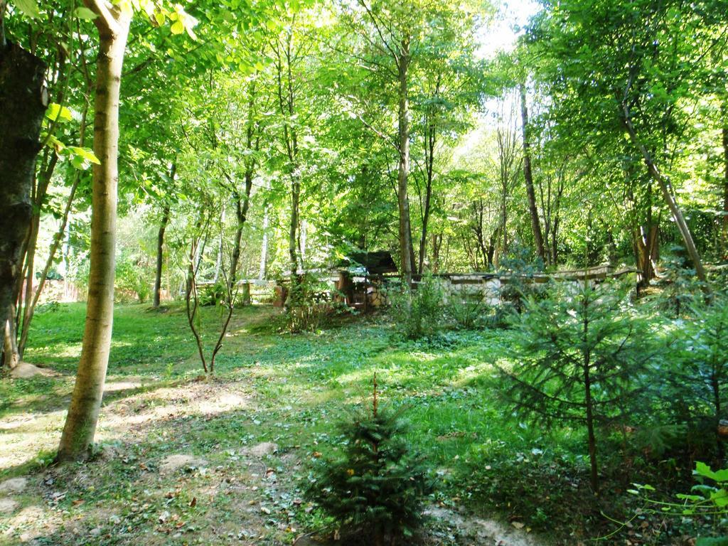 Osrodek Kwaskowa Villa Kazimierz Dolny Dış mekan fotoğraf