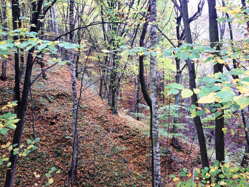 Osrodek Kwaskowa Villa Kazimierz Dolny Dış mekan fotoğraf