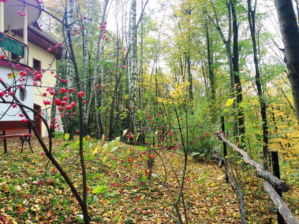 Osrodek Kwaskowa Villa Kazimierz Dolny Dış mekan fotoğraf