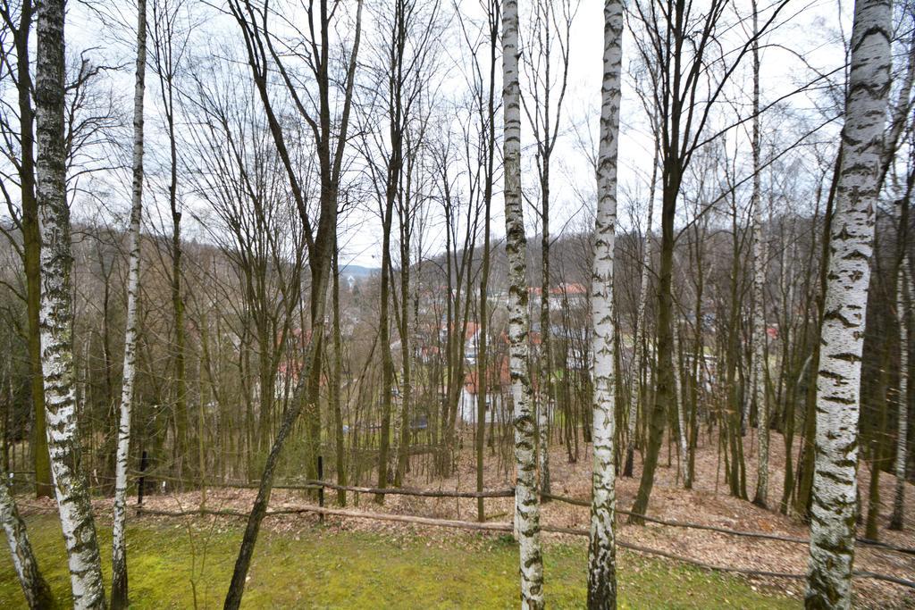 Osrodek Kwaskowa Villa Kazimierz Dolny Dış mekan fotoğraf